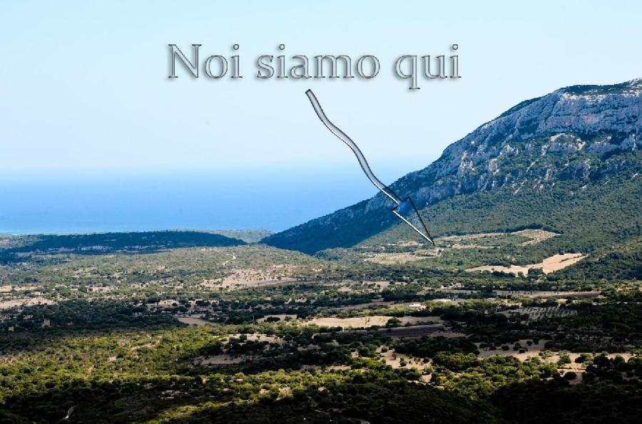B&B Cala Cartoe Dorgali Εξωτερικό φωτογραφία